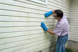 Best Aluminum Siding Installation  in Redwater, TX